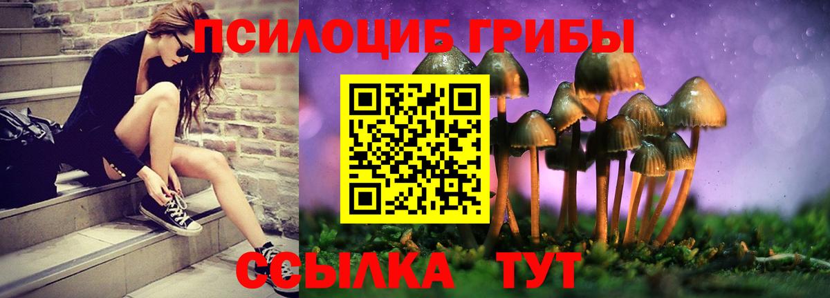 Псилоцибиновые грибы GOLDEN TEACHER  Псилоцибиновые грибы GOLDEN TEACHER  Вход с VPN  Солнечногорск 